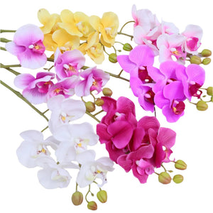 realistic orchid flowers for arrangement