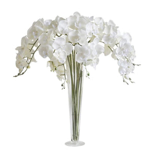 white orchid flowers realistic flower arrangement